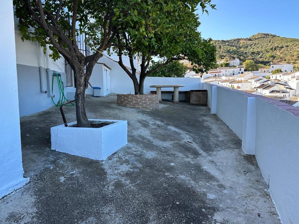 Apartamento Antonia Zahara De La Sierra Exterior foto