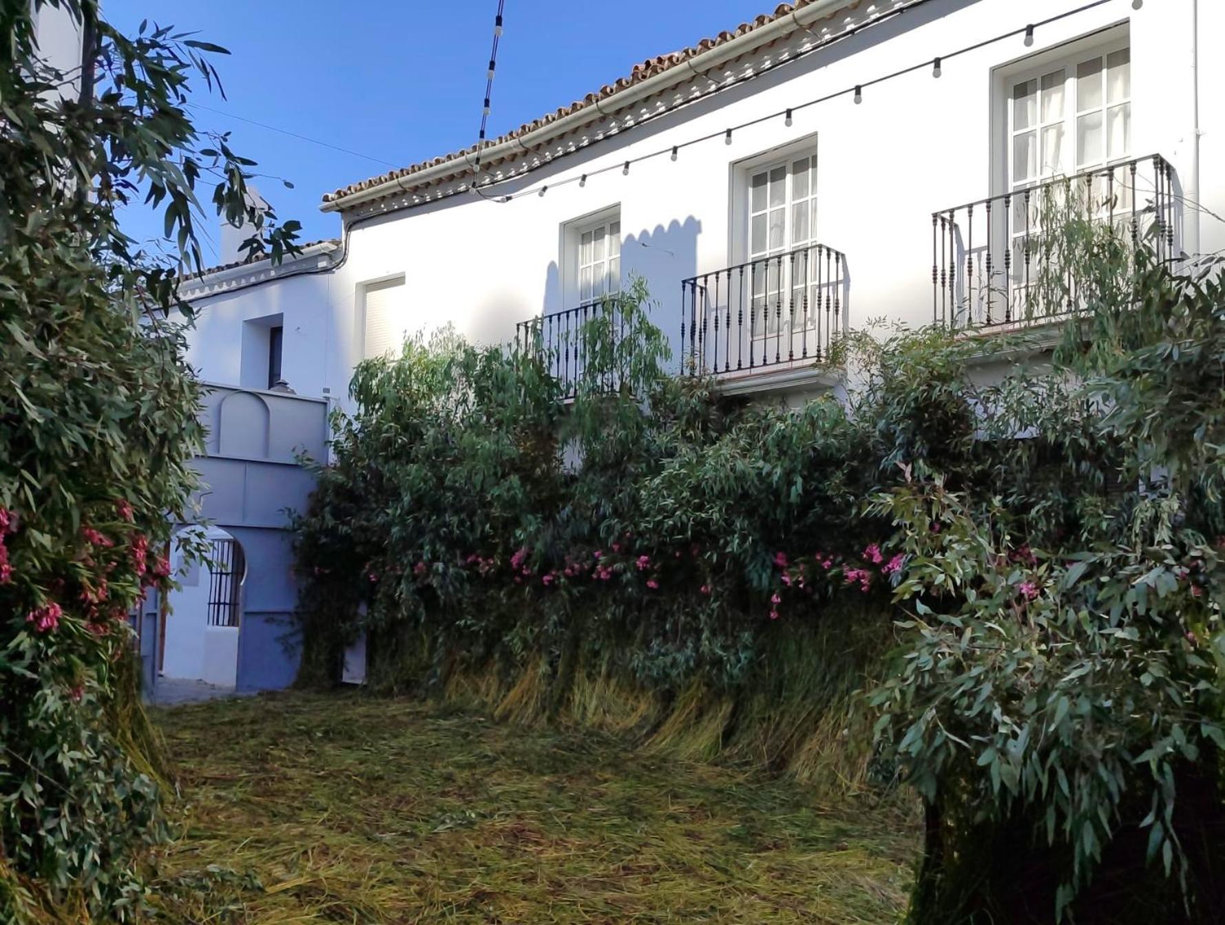 Apartamento Antonia Zahara De La Sierra Exterior foto